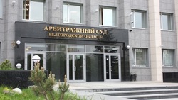 Мэрия Белгорода требует почти 43 млн рублей с компании «Крот» за аренду меловой штольни