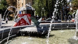 Лето в Белгородской области завершится 30-градусной жарой
