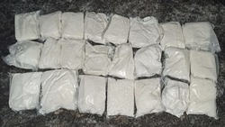 Тайник с 60 кг наркотиков обнаружили в Белгородской области