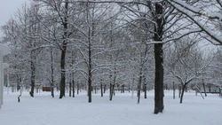 В Белгородской области в ночь на вторник похолодает до минус 22 градусов