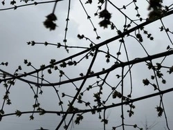 Грозы и снег ожидаются в Белгородской области во вторник 