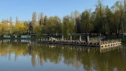 В парках Белгорода отремонтируют понтонную сцену и летний кинотеатр