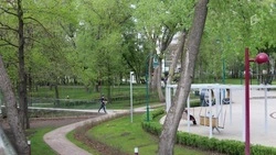Заключительный этап благоустройства Центрального парка Белгорода обойдётся в 243 млн рублей 