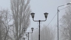 Синоптики предупредили белгородцев о надвигающемся тумане в четверг 