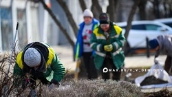 Клумбы Белгорода готовят к весне 