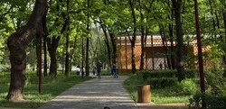 Более 70 тысяч новых растений появилось в Центральном парке Белгорода после начала реконструкции