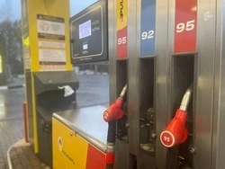За неделю бензин в Белгородской области подорожал на 42 копейки