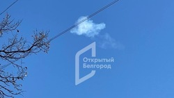 Средства ПВО сбили 22 украинских БПЛА над Белгородской областью ночью