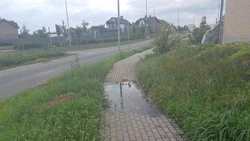 «Главы меняются, а толку нет»: Микрорайон Дубровка под Белгородом три года заливает нечистотами