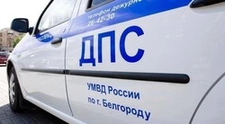 178 человек погибли в ДТП в Белгородской области в 2024 году 