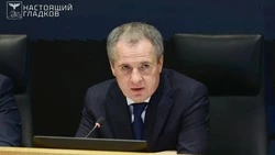 Вячеслав Гладков пробудет в отпуске ещë две недели 