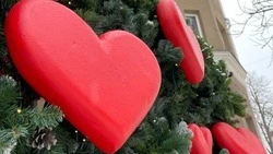 Колесо обозрения, парки и уютные кофейни: куда сходить на свидание в Белгороде?