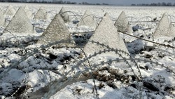 Белгородский суд отклонил апелляцию задержанного за хищения на строительстве оборонных линий