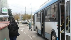 Остановку «Дружба» исключили из схемы движения автобуса №214 «Энергомаш — Стрелецкое» в Белокруге