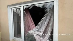 Семья из Белгорода лишилась трёх питомцев во время ракетного обстрела минувшей ночью