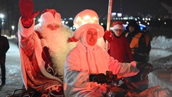 Новогоднюю ёлку в Белгороде откроют водно-экстремальным шоу 