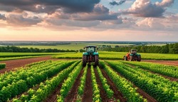 Белгородские фермеры получили свыше 250 млн рублей страховых по сельхозрискам с начала 2025 года