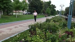 Проект благоустройства Народного бульвара в Белгороде обойдётся в 6,1 млн рублей