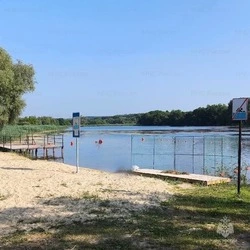 Ребёнок чуть не утонул в пруду в белгородской Вейделевке