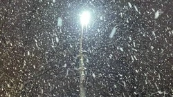 Ледяной дождь, мокрый снег и туман ожидаются в Белгородской области 28 и 29 января