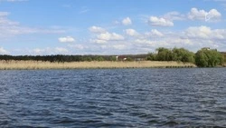 Почти 2 млн рублей направят на подготовку к очистке Везёлки в Белгородском округе