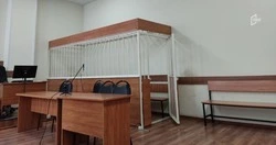 Обвиняемая в убийстве сожителя 52-летняя белгородка заключена под стражу 