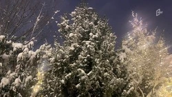 В Белгородской области похолодает до минус 10 градусов в субботу 