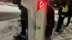 Пьяная женщина на иномарке снесла дорожный знак в Старом Осколе