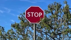 Дорога в Грайворонском округе перекрыта из-за активизации украинских FPV-дронов на оптоволокне