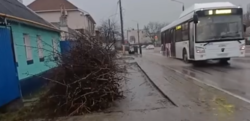 Купаемся в грязи: белгородка пожаловались на залитый грязью тротуар в Белгороде  