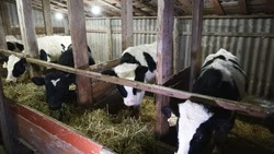 Почти 2 млрд рублей выделят на реализацию соцконтрактов для жителей Белгородской области в 2026 году