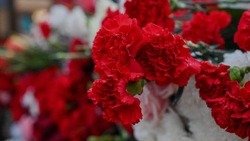 Розы и гвоздики: мэрия Белгорода закупит цветов на 2,1 млн рублей
