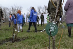 В Белгороде стартовала экологическая акция  «Сад памяти»