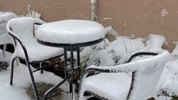 Мокрый снег и гололёд ожидаются в Белгородской области в четверг 