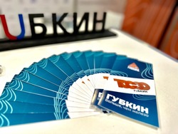 4,8 млрд рублей инвестиций принёс Белгородской области ТОР «Губкин»