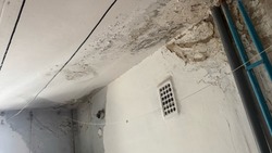 «Уже неделю мокрая стена»: Белгородка пожаловалась на размокающий дом и бездействие УК