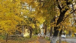 Тёплая погода без осадков ожидается в Белгородской области в пятницу 