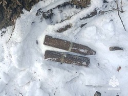 Лесник нашёл шесть снарядов времён ВОВ в Красногвардейском районе