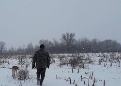 Почти на 1,2 млн рублей наказали белгородских браконьеров в 2023 году