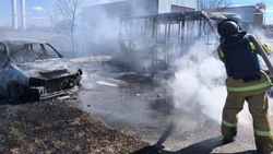 При атаке ВСУ погиб водитель главы Илёк-Кошарского поселения Ракитянского района в пятницу