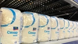 Высокая урожайность свёклы в Белгородской области позволит избежать подорожания сахара