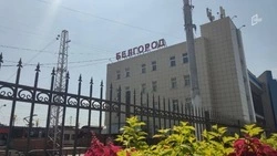 Дополнительные поезда из Белгорода в Санкт-Петербург и Карелию продолжат курсировать до конца лета