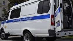 Новосибирцу грозит до 20 лет колонии за подготовку теракта у здания полиции в белгородском Строителе