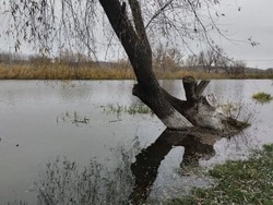 Сброс воды на Белгородском водохранилище продолжается после повреждения плотины