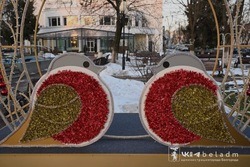 Новые новогодние фотозоны появились за драмтеатром в Белгороде