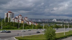 Власти пока не приняли решение о создании выделенной полосы для автобусов на Ватутина в Белгороде 