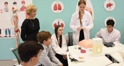 Почти 500 школьников Белгородчины проходят практику в лечебных учреждениях