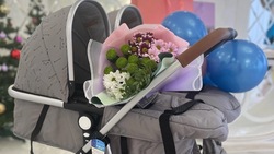 Администрация Белгородского района закупит 12 колясок для новорождённых двойняшек