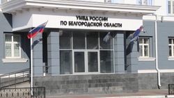 26 тысяч иностранцев получили гражданство РФ в Белгородской области с 2022 года