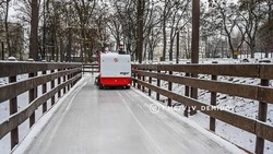 Белгородцам рассказали, как будут работать городские катки 